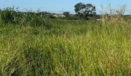 Terreno à venda, 200 m² por R$ 120.000,00 - Maisparque Rio Preto - São José do Rio Preto/SP