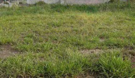 Terreno à venda, 200 m² por R$ 75.000 - JD Tangará - Bady Bassitt/São Paulo