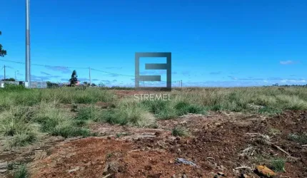 Terreno Comercial para Venda em Guarapuava, Vila Carli