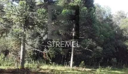 Área Rural para Venda em Guarapuava, Jordão