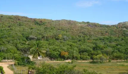 Chácara / sítio com 2 quartos à venda na Conde - Estrada  Barra do Itariri, KM 28, Itariri, Conde, 120 m2 por R$ 395.000