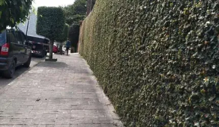 Fazenda à venda na Balneária, 355, Balneária, São Bernardo do Campo, 2100 m2 por R$ 1.270.000