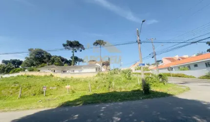 Terreno para Venda em São José dos Pinhais, Aristocrata