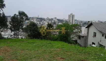 Excelente Terreno no bairro Petrópolis Caxias do Sul