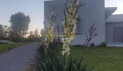 Chácara com excelente casa