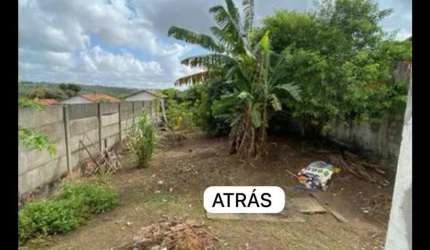 TERRENO 338 m2, RUA CALÇADA - IGARASSU , TABATINGA