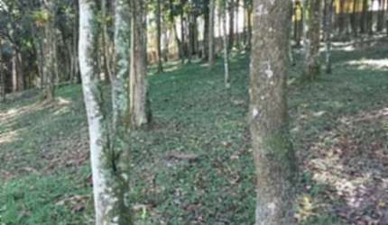 TERRENO SEMI PLANO RIACHO GRANDE