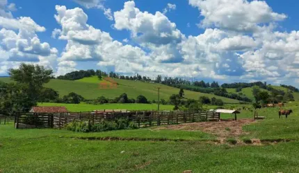 Fazenda para Venda em Serra Negra, Bairro da Serra