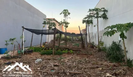 Maravilhoso Terreno no Residencial Palmeira Real em Limeira-SP