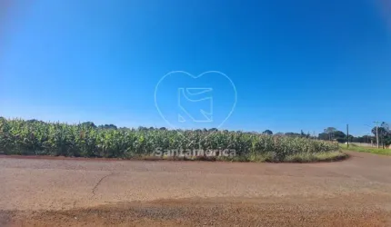 Terreno à Venda em Cambé - 23.000m² para Construção ou Investimento