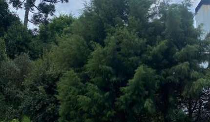 Terreno à venda na Rua Pedro Pezzi, 645, Panazzolo, Caxias do Sul por R$ 550.000