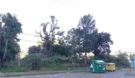 Terreno à venda na Rua Pedro Pezzi, Panazzolo, Caxias do Sul por R$ 4.250.000