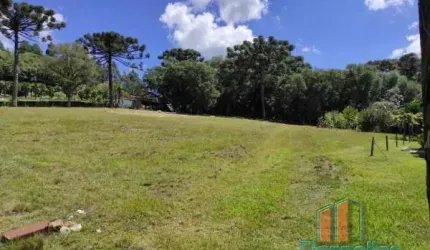 Chácara / sítio com 3 quartos à venda na Rota Do Sol - RST 453, 00, Fazenda Souza, Caxias do Sul por R$ 960.000
