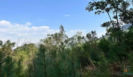 Chácara / sítio à venda na Estrada Santa Lucia x Vila Cristina, 01, Zona Rural, Caxias do Sul por R$ 540.000