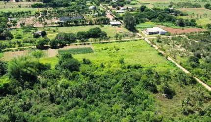 Chácara / sítio com 3 quartos à venda