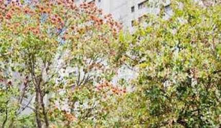 Apartamento com 4 quartos à venda na Avenida Princesa D'Oeste, 1295, Jardim Proença, Campinas, 156 m2 por R$ 870.000