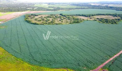 Fazenda à venda na Rodovia MT-130, s/n°, Zona Rural, Primavera do Leste, 24200 m2 por R$ 63.000.000