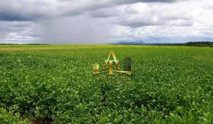 Fazenda à Venda na Região de Carolina/MA