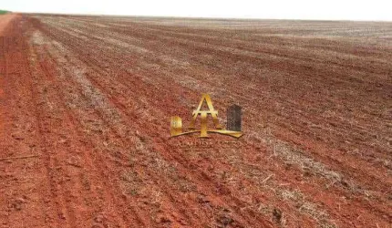 Fazenda à Venda no Xingu - Mato Grosso.