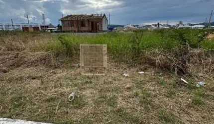 Terreno para Venda em Palhoça, Nova Palhoça