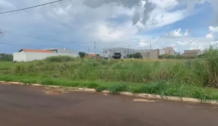 Terreno Padrão em Jaú