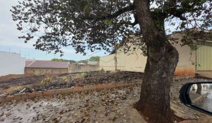 Terreno Padrão em Jaú