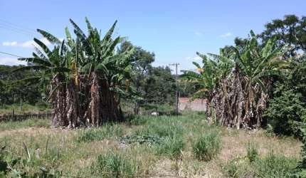 Terreno a Venda  no Parque dos Pinheiros