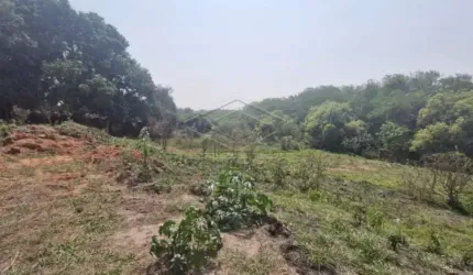 Terreno Área em Bauru