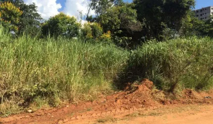 Terreno Padrão em Bauru