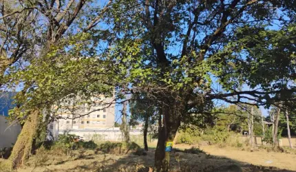 TERRENO JD COLONIAL ABERTO