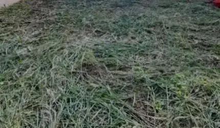 Terreno Padrão em Jaú