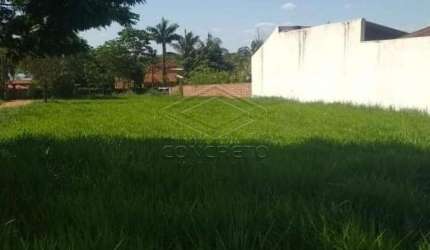 Terreno Padrão em Arealva
