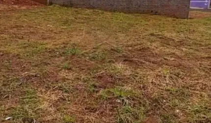 Terreno Padrão em São Manuel
