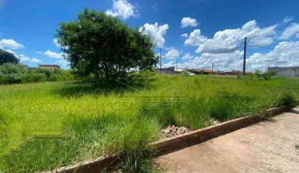 Terreno Padrão em Jaú
