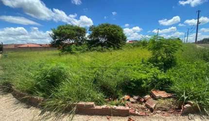 Terreno Padrão em Jaú