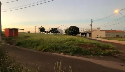 Terreno Padrão em Jaú