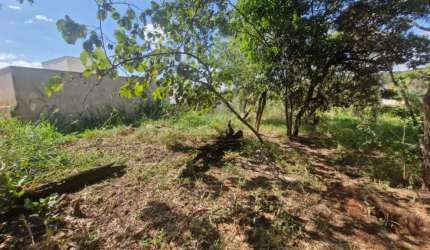 Terreno - Jardim Nicéia