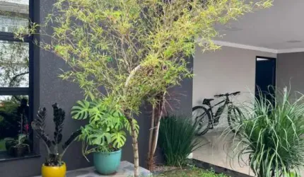 Casa Condomínio em Jaú