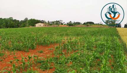 Terreno para Venda em Ponta Grossa, Chapada