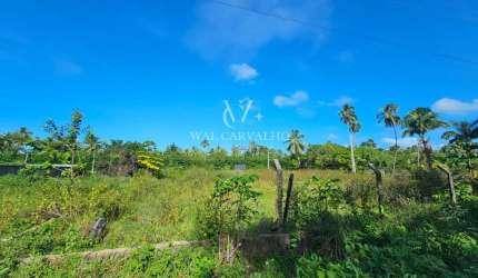Lote para Venda em Paripueira