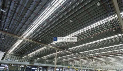 Galpão para alugar, de 15.500m² até 58.000m² - Marginal Tietê - São Paulo/SP