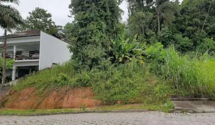 TERRENO no COSTA E SILVA com 0 quartos para VENDA, 490 m²