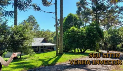 Sítio 12,8 alqueires - Tijucas do Sul