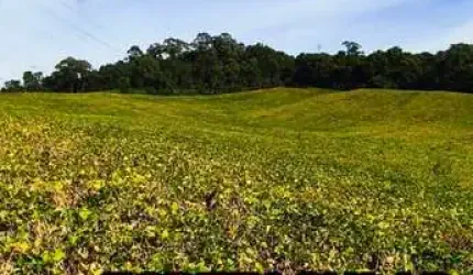 Chácara 20.141 m² - Ekko Village - Campo Largo/Pr
