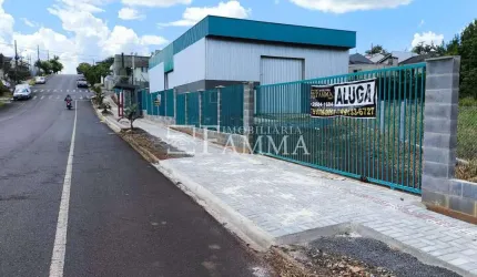 Barracão Disponível para Locação, SÃO FRANCISCO, PATO BRANCO - PR