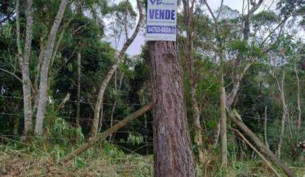 Terreno à venda, 925 m² por R$ 120.000,00 - Chácara Califórnia - Embu-Guaçu/SP