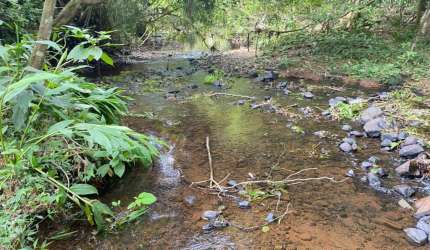 Chácara / sítio com 3 quartos à venda na estrada do espigão, Sanga Funda, Terra de Areia por R$ 750.000