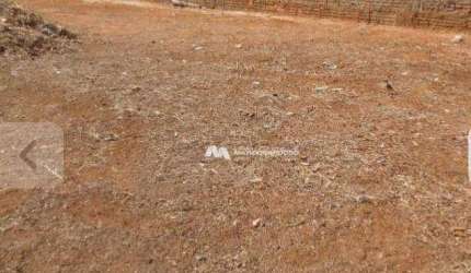 Terreno à venda, 200 m² por R$ 140.000,00 - Residencial Jardim Antonieta - São José do Rio Preto/SP