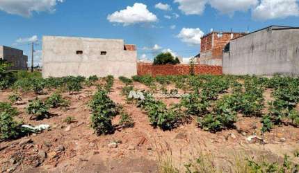 Terreno à venda, 200 m² por R$ 60.000,00 - Portal Do Cedro - Cedral/SP