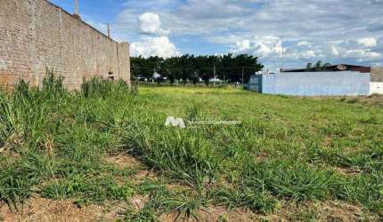 Terreno à venda, 1000 m² por R$ 420.000,00 - Loteamento Parque dos Pássaros - São José do Rio Preto/SP